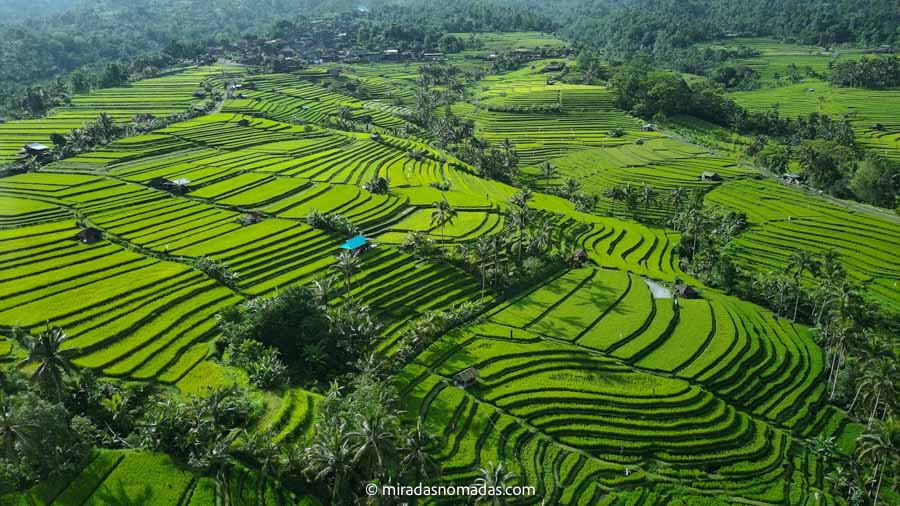 panorámica tomada con dron sobre Jatiluwih