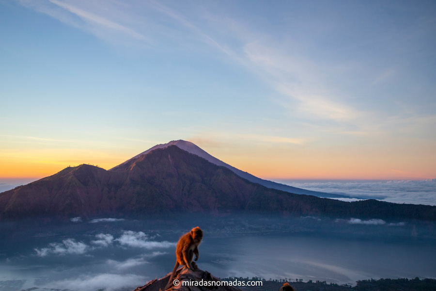 top del monte batur con un mono en primer plano