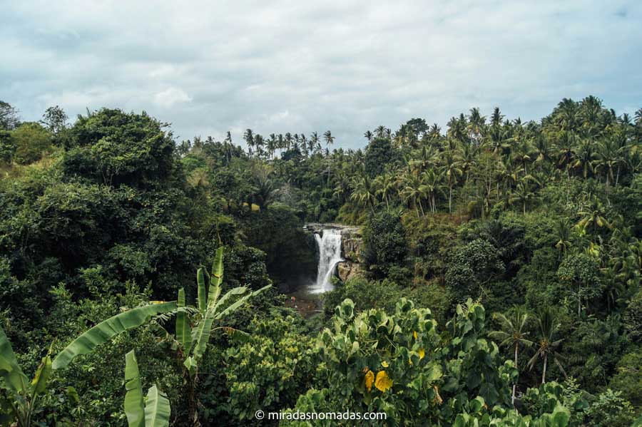 foto con dron panorámica del bosque rodeando la cascada tegenungan