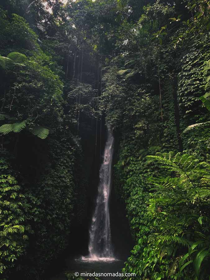 BALI-158 Pámnorica de la cascada leke leke