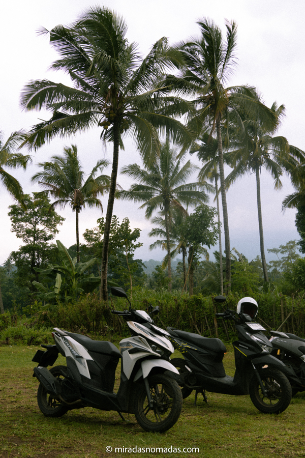 Motos aparcadas en el césped en una isla de Indonesia